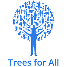 trees for all teambuilding Bradford
